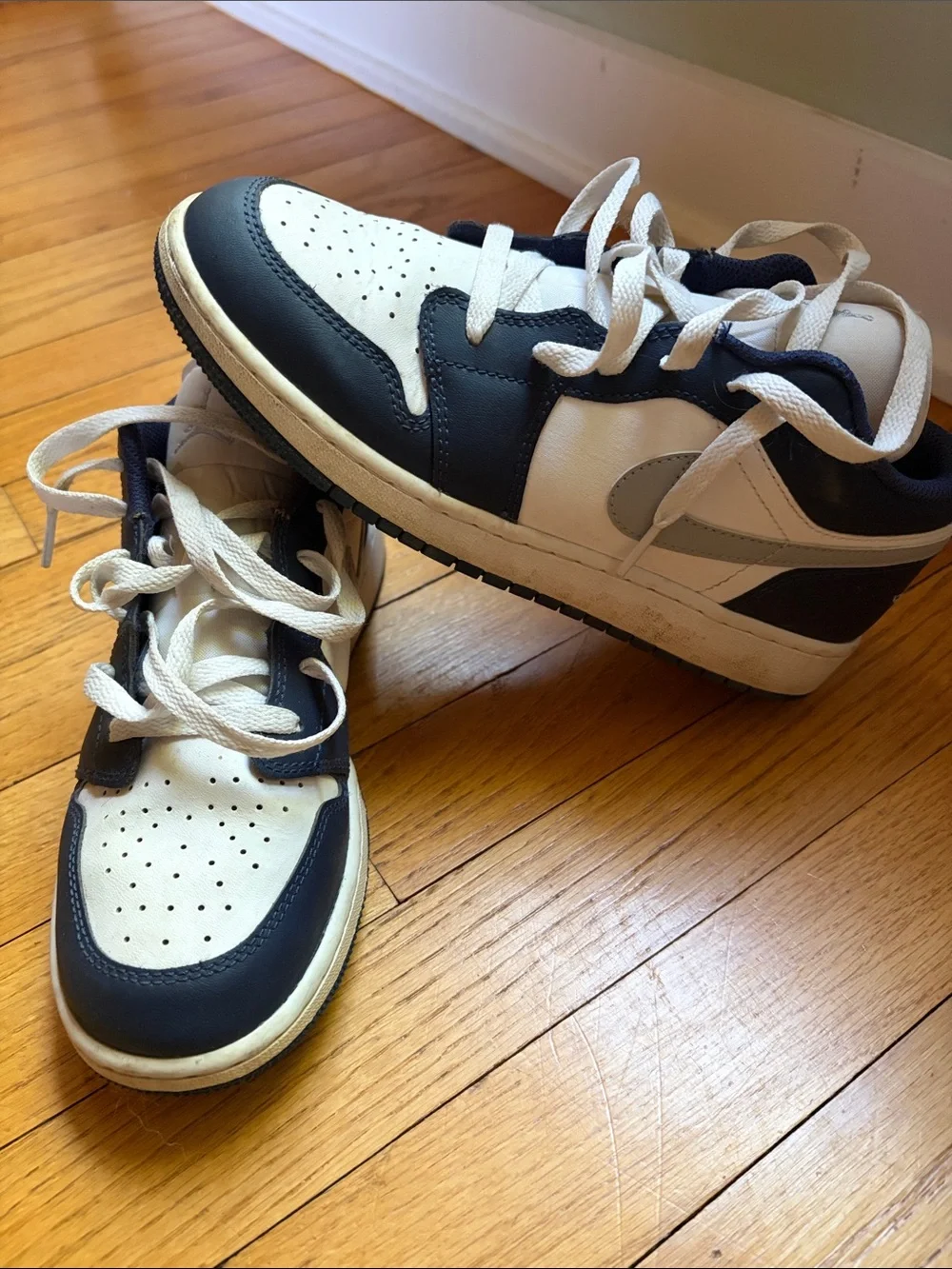 Nike Kids White and Navy Low-Top Sneakers with Gray Swoosh